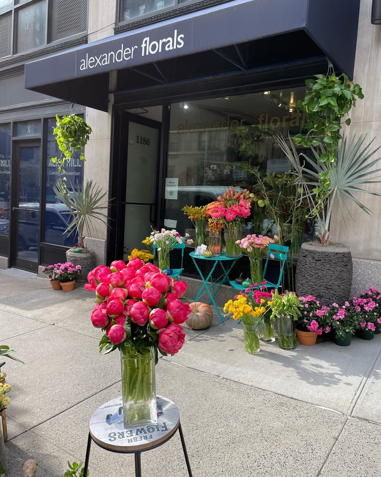 Alexander Florals - Image 1