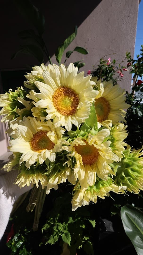 Flora Fresh Inc. - Image 1