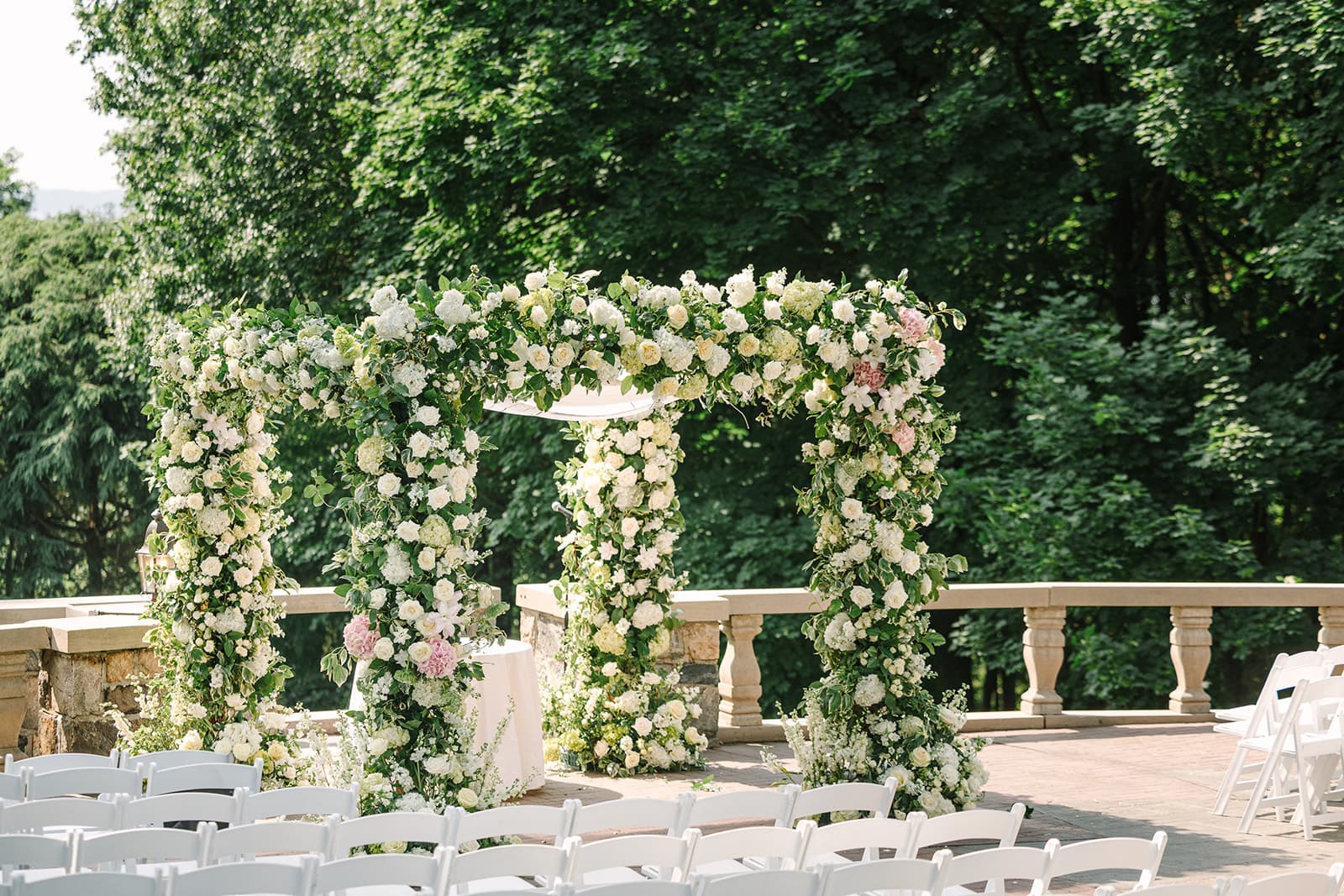 Damselfly Designs - Image 1