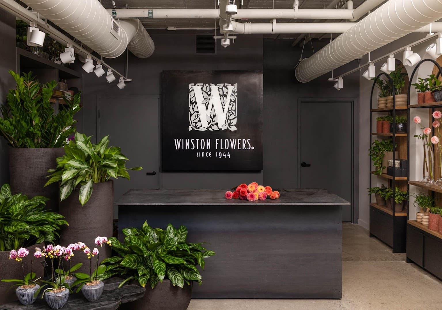 Winston Flowers - Image 1