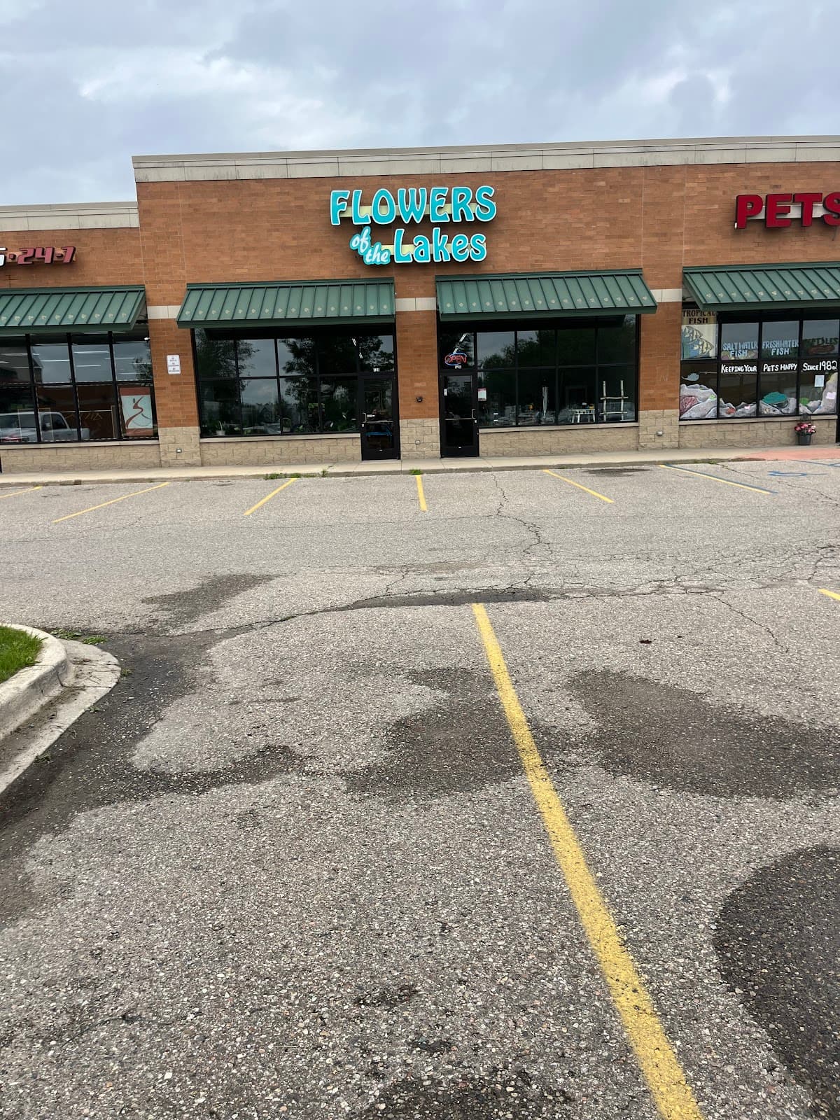 Flowers of the Lakes - Image 1