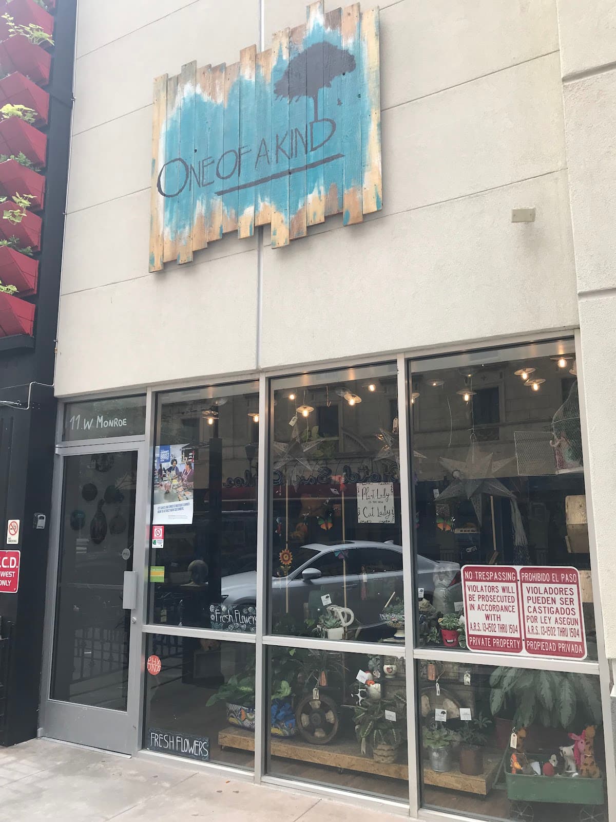 One of A Kind - Image 1