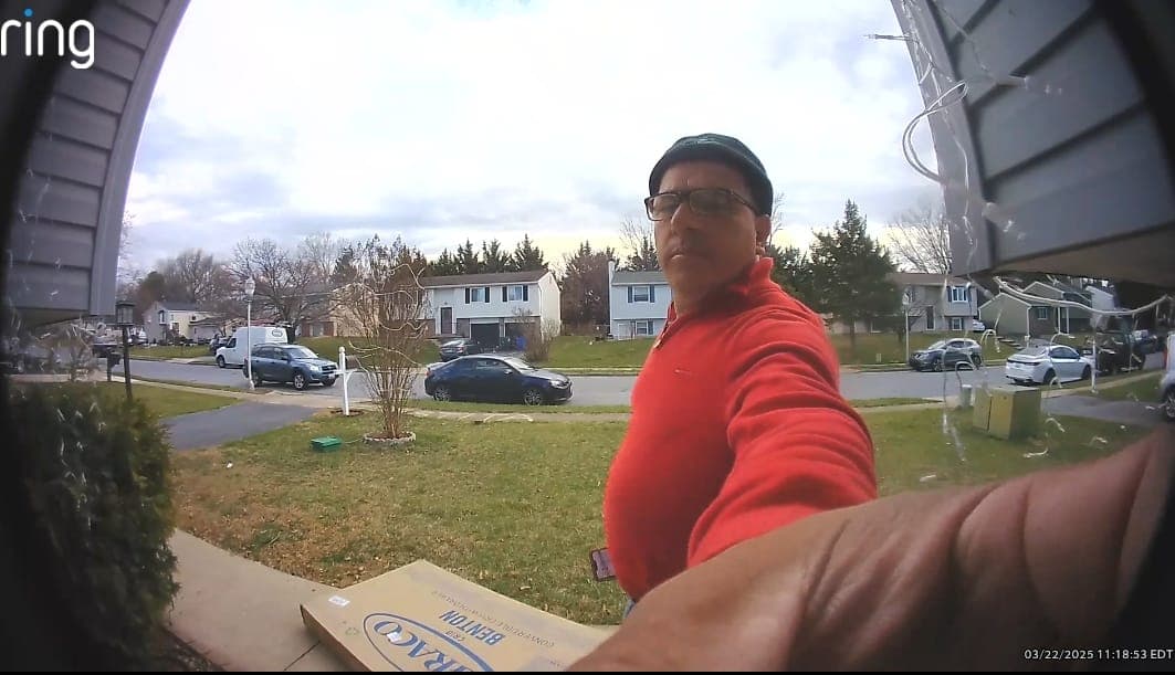 Garden Flowers - Image 1