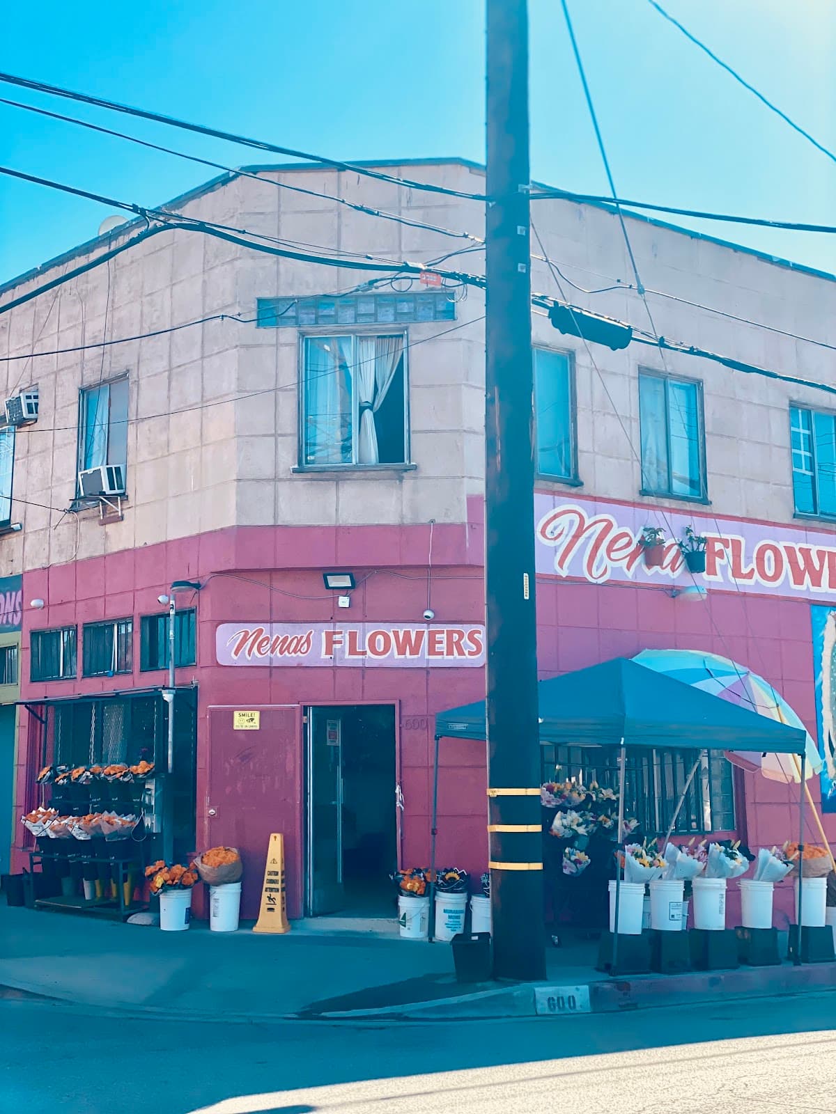 Nena Flowers - Image 1