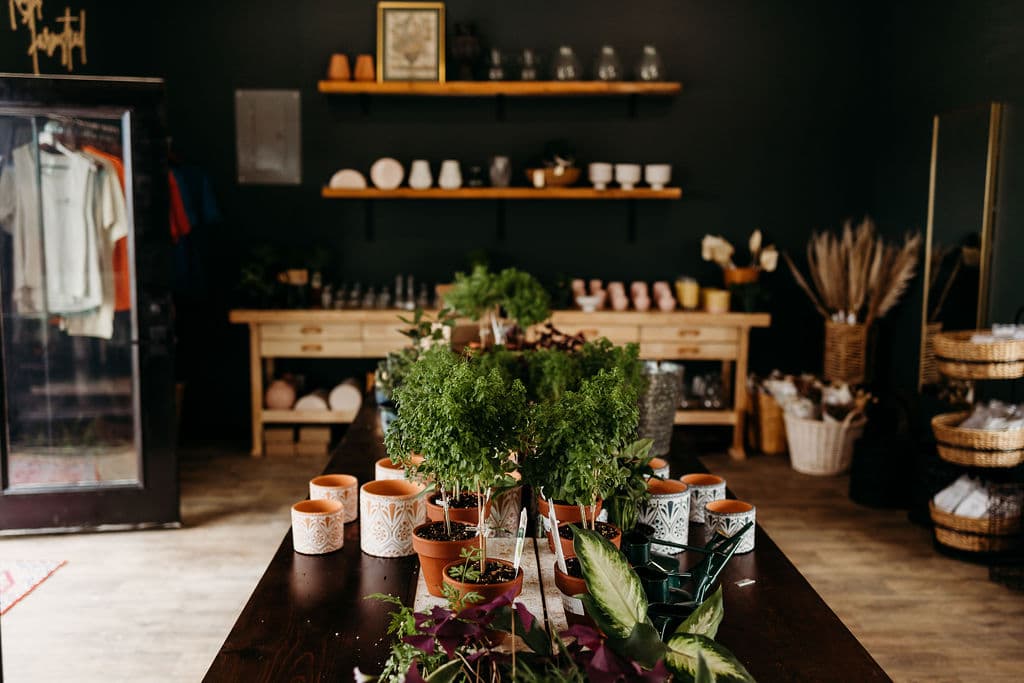 Rooted Farmstead - Image 1