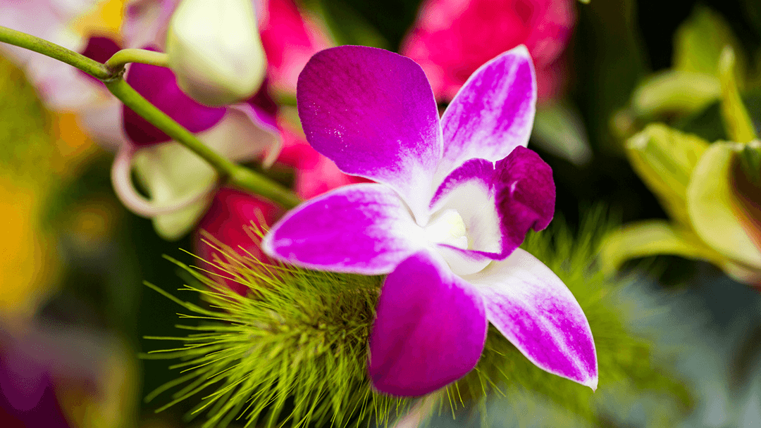 Fresh & Silk Flowers - Image 1