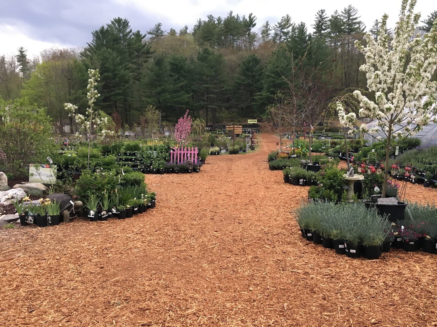 Black Forest Nursery - Image 1