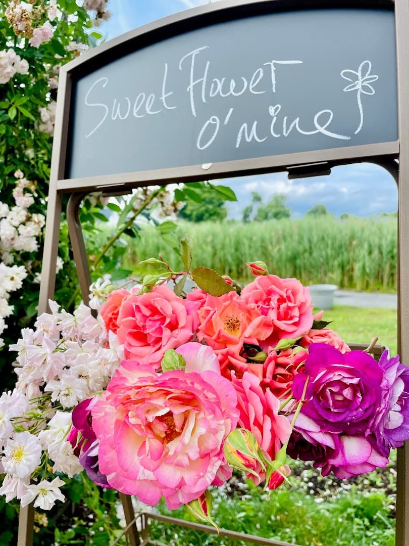 Sweet Flower O' Mine Flower Delivery - Image 1