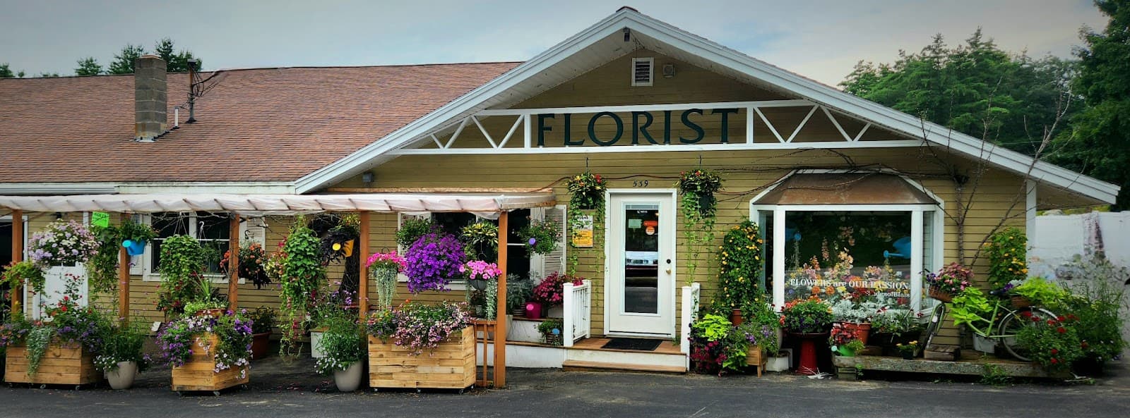 Blais Flowers, Gift Shop & Greenhouses - Image 1