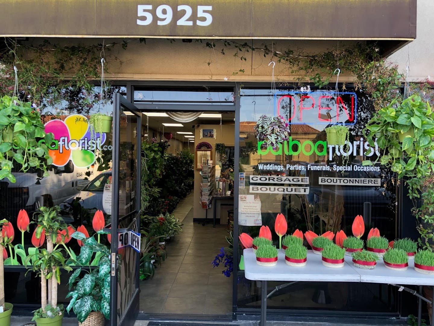Balboa Florist - Image 1
