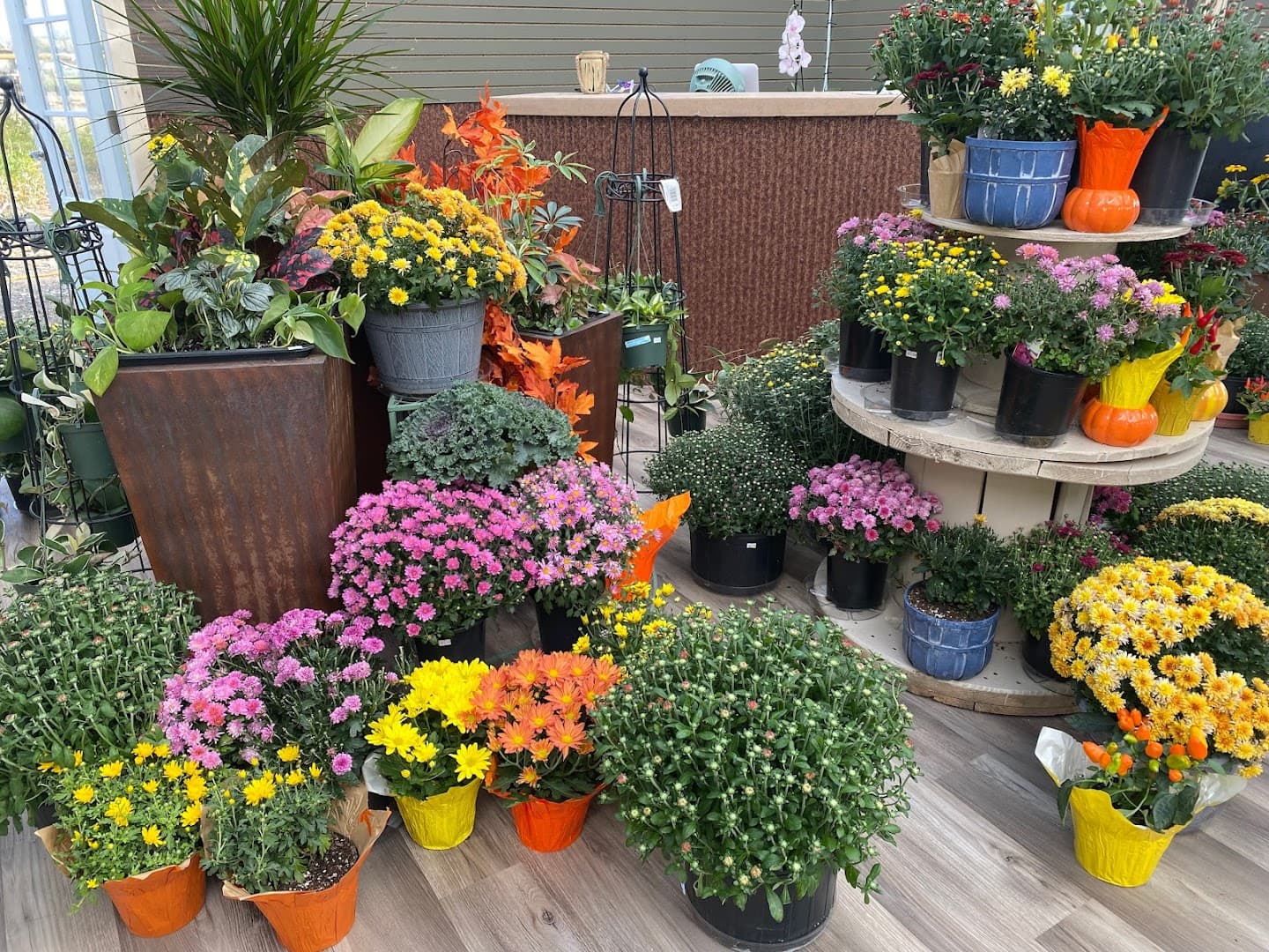 Pollen Landscapes Garden Center and Flower Shop - Image 1