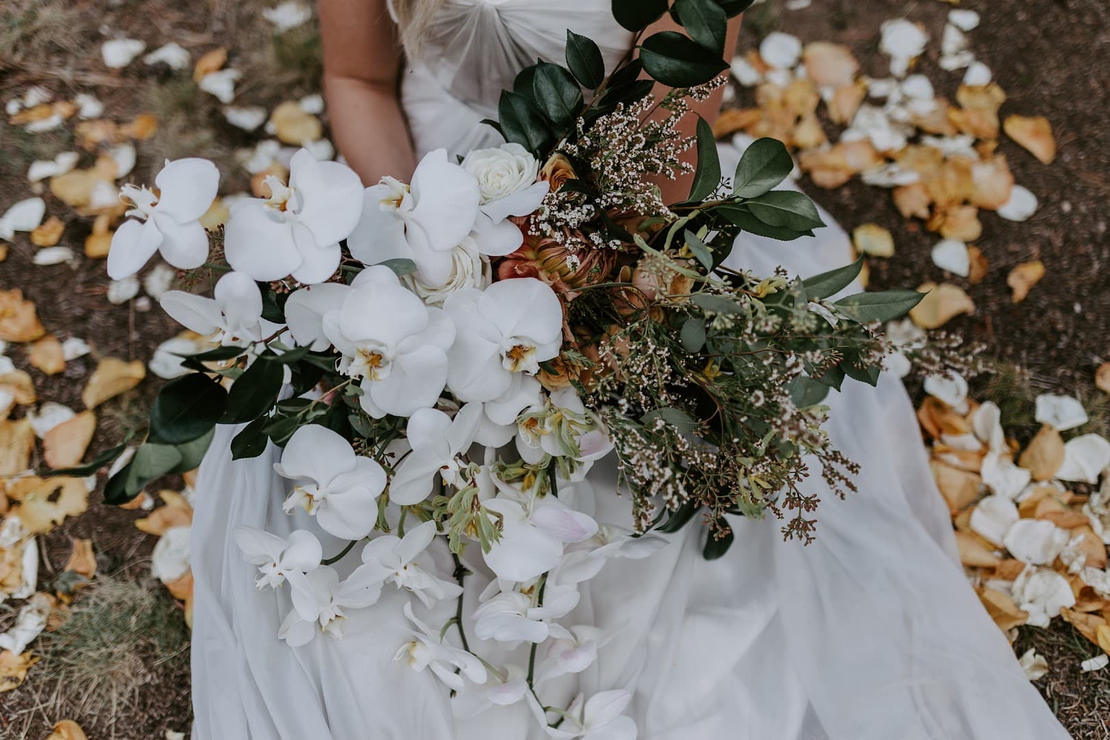 Blooms - Image 1