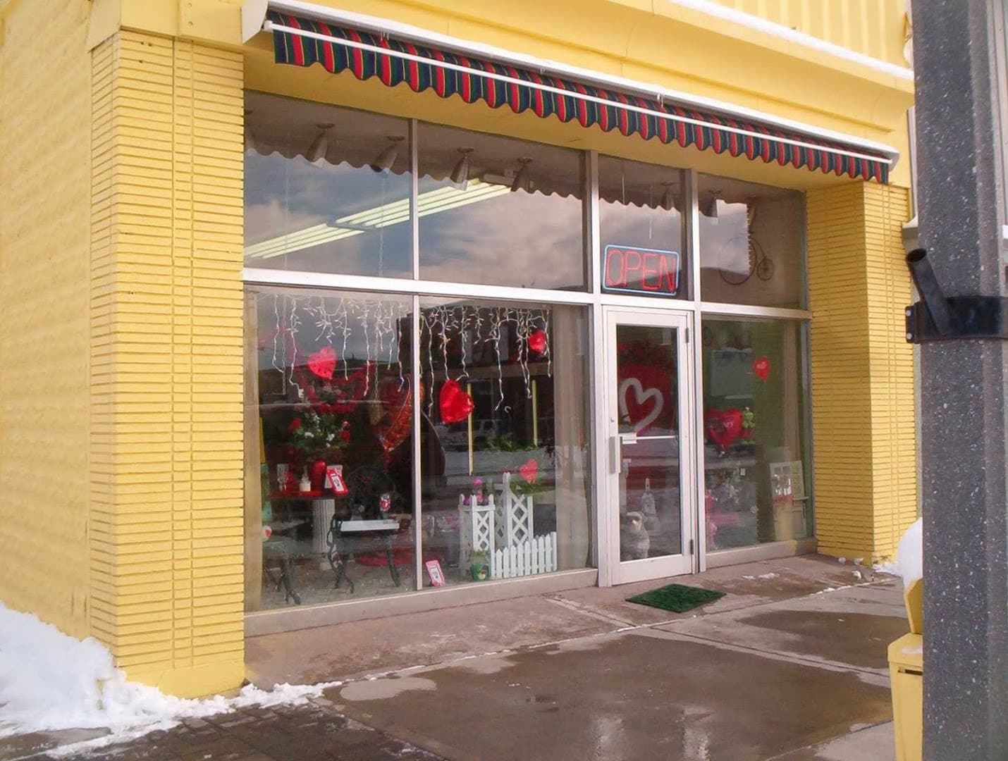 Sassy Flowers LLC - Image 1