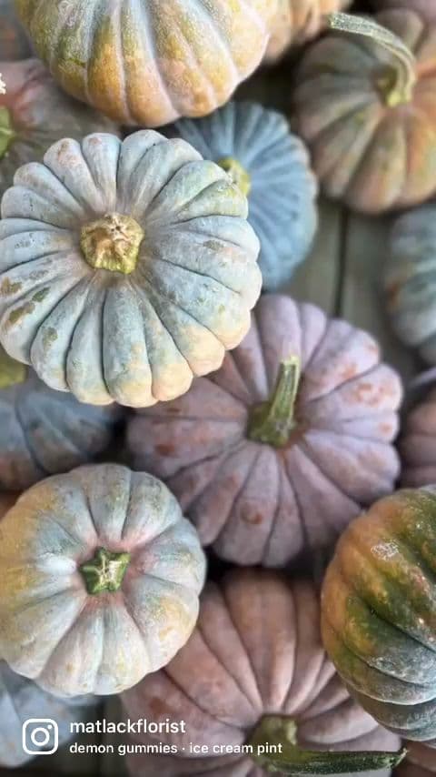 Matlack Florist - Image 1