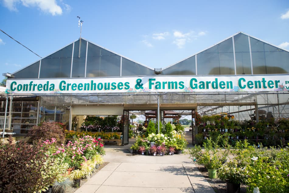 Confreda Greenhouses & Farms - Image 1