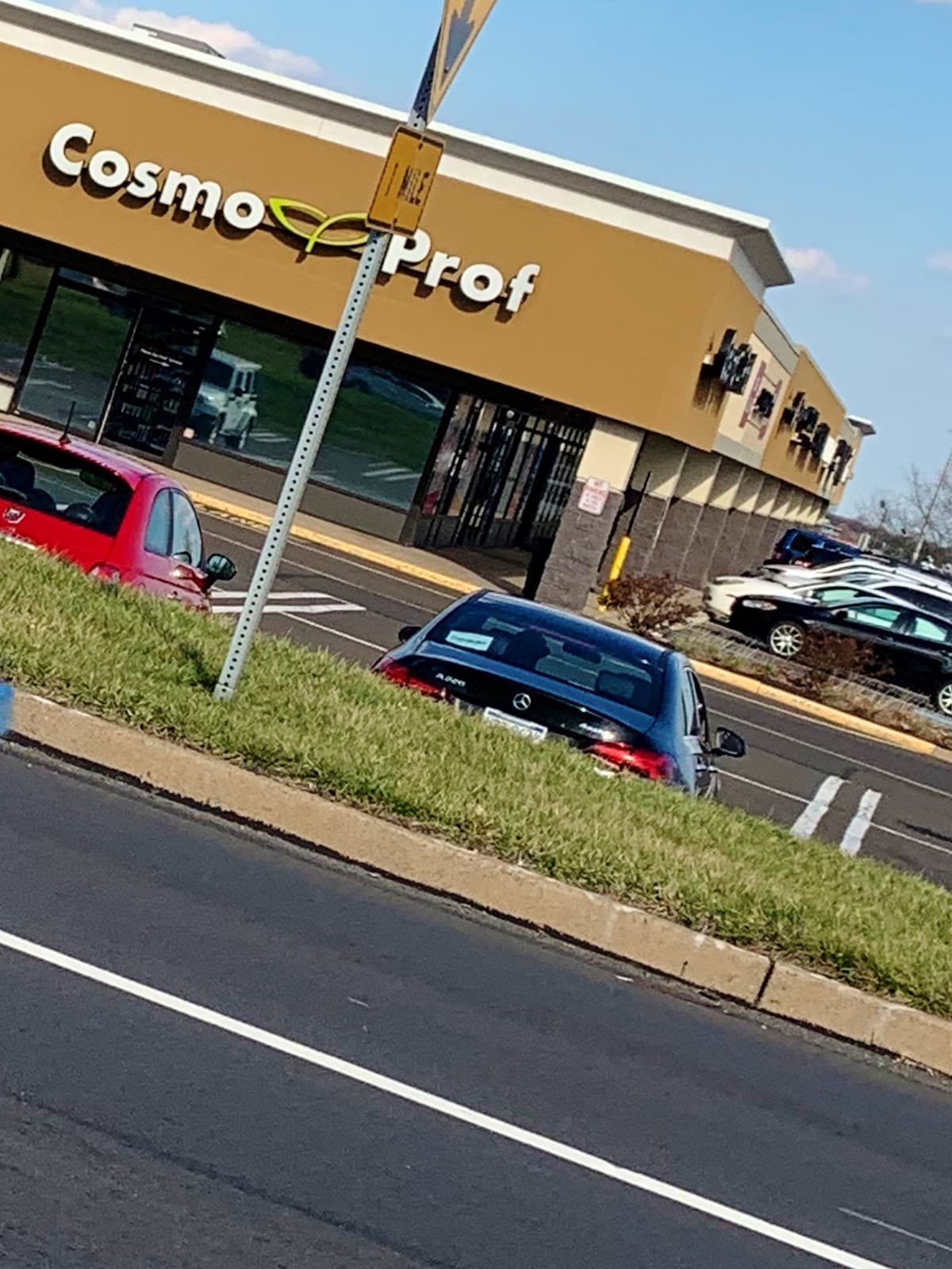 Flowers by David Florist & Flower Delivery - Image 1