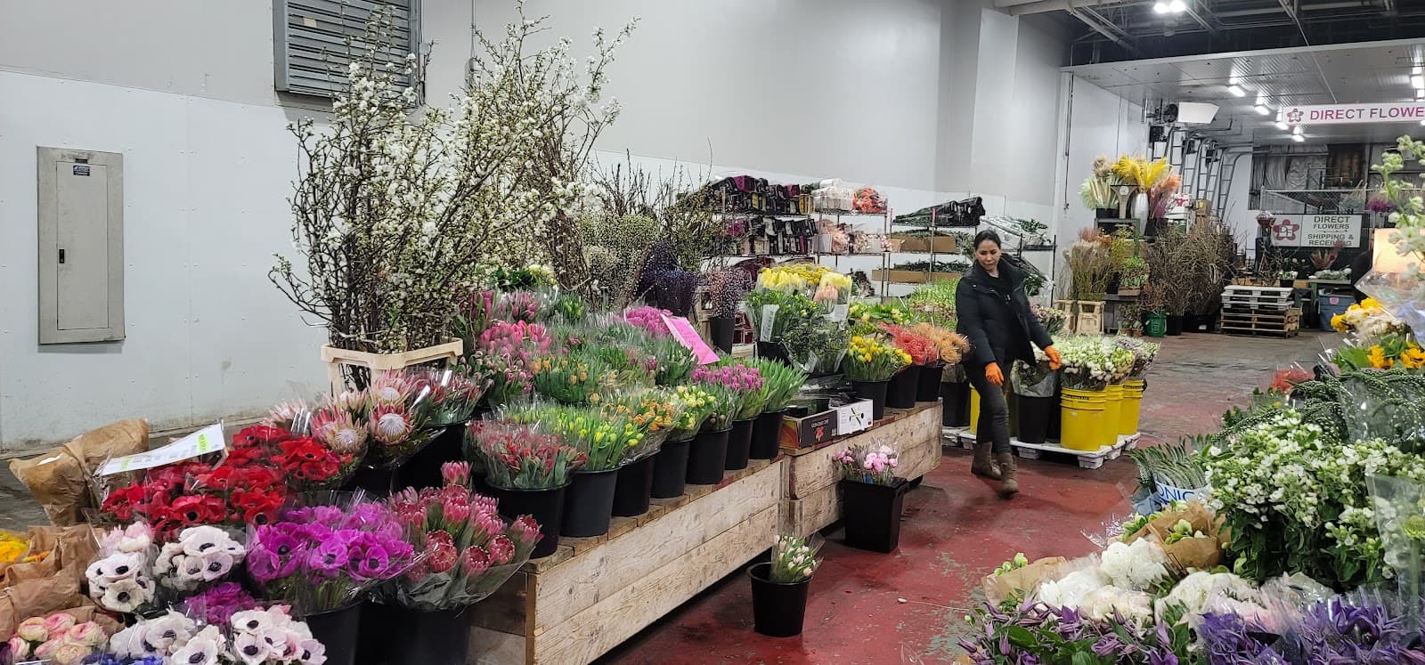 Cupp & Cupp - Image 1