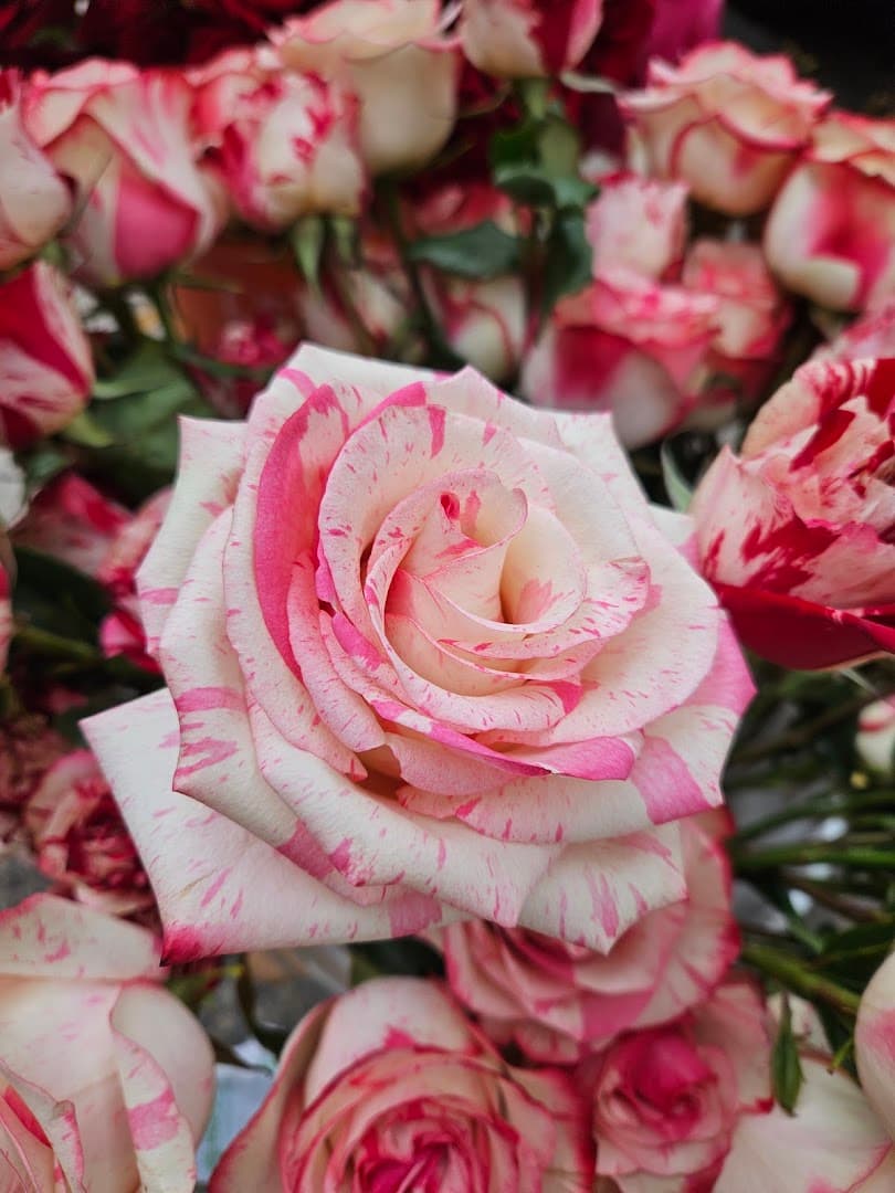 Brooklyn Flower Shop - Image 1