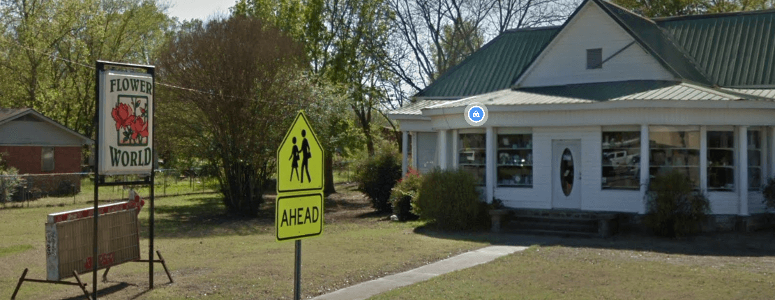 Flower World - Image 1