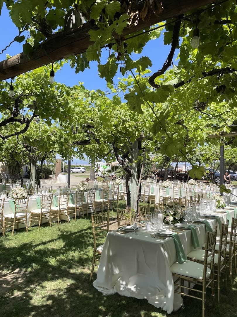 Blooming Beauty - Image 1