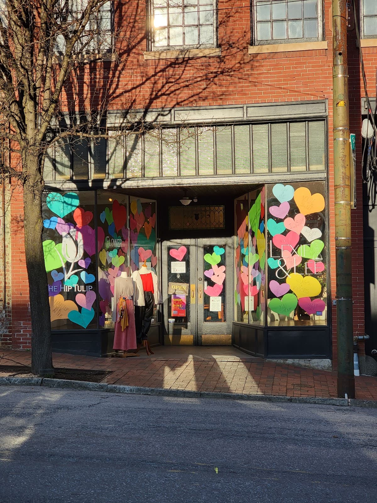 The Hip Tulip - Image 1