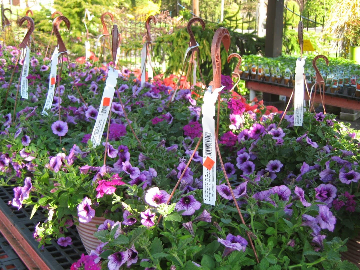 Mayberry's Nursery and Garden Center - Image 1