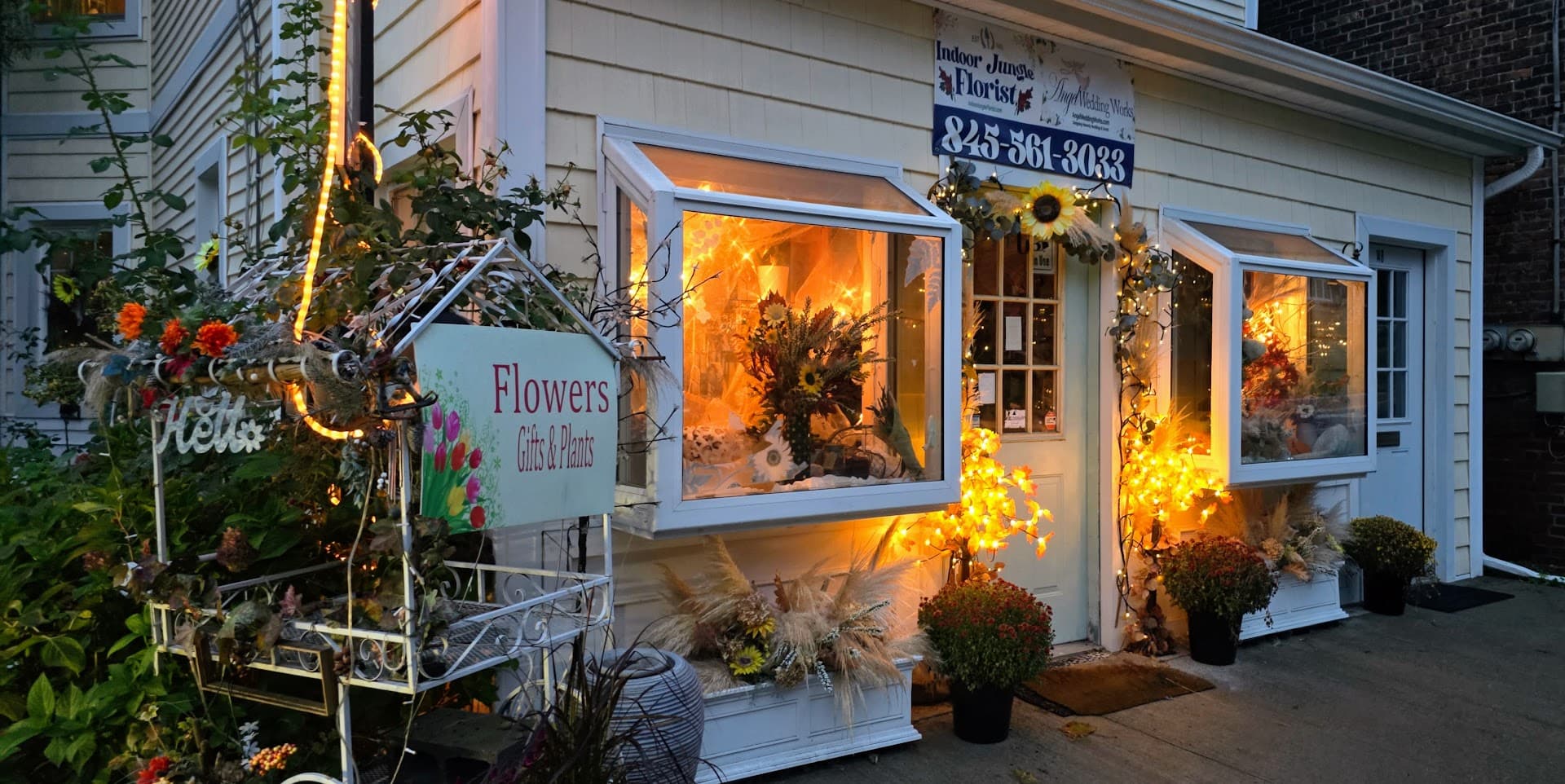 Indoor Jungle - Image 1