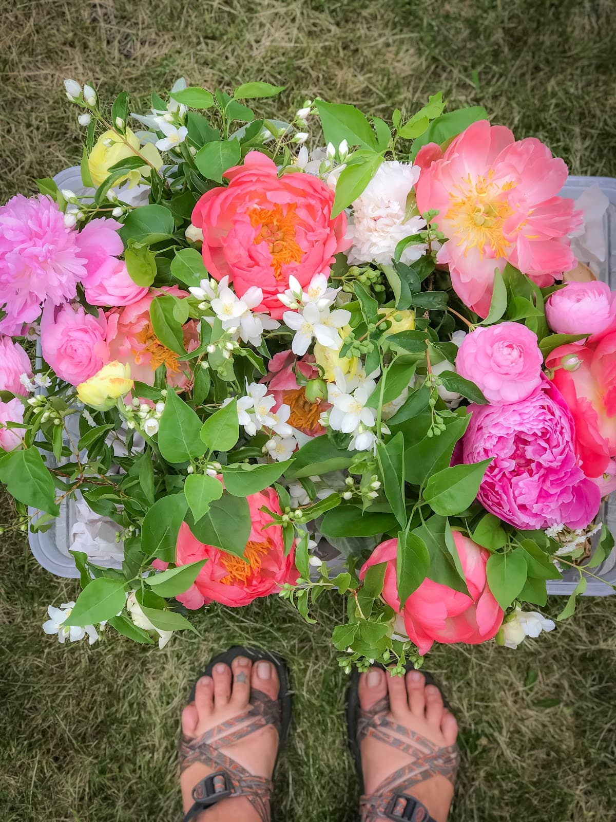 Full Bushel Farm - Image 1