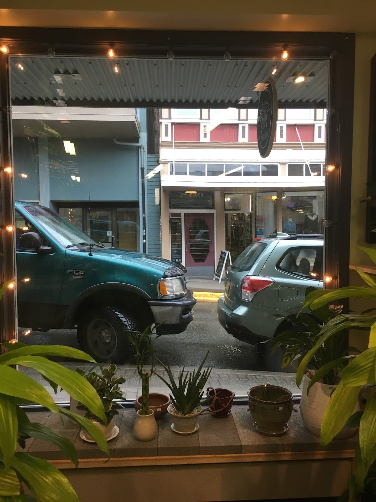 The Pottery Jungle - Image 1