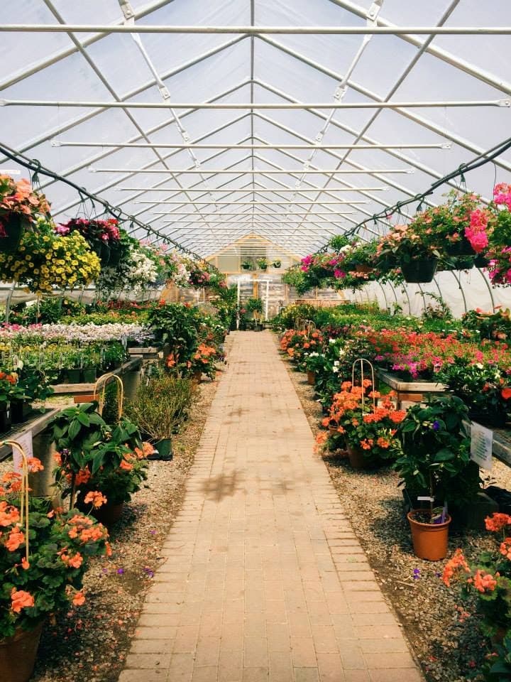 Madison Flower Shop & Garden Center - Image 1