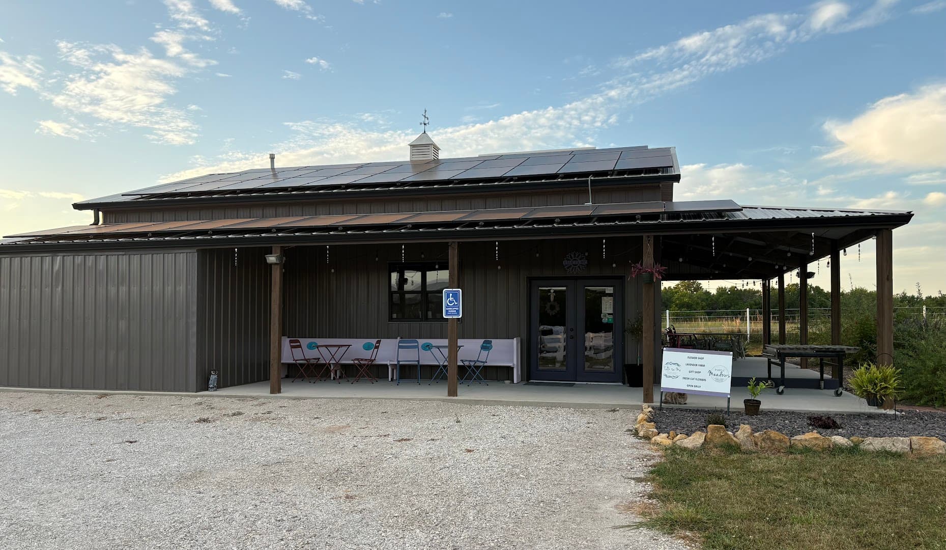 Talk ta Me Floral - Image 1