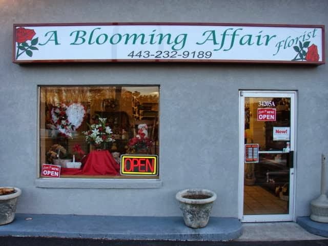 A Blooming Affair - Image 1