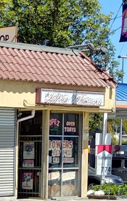 Lopez Flowers - Image 1