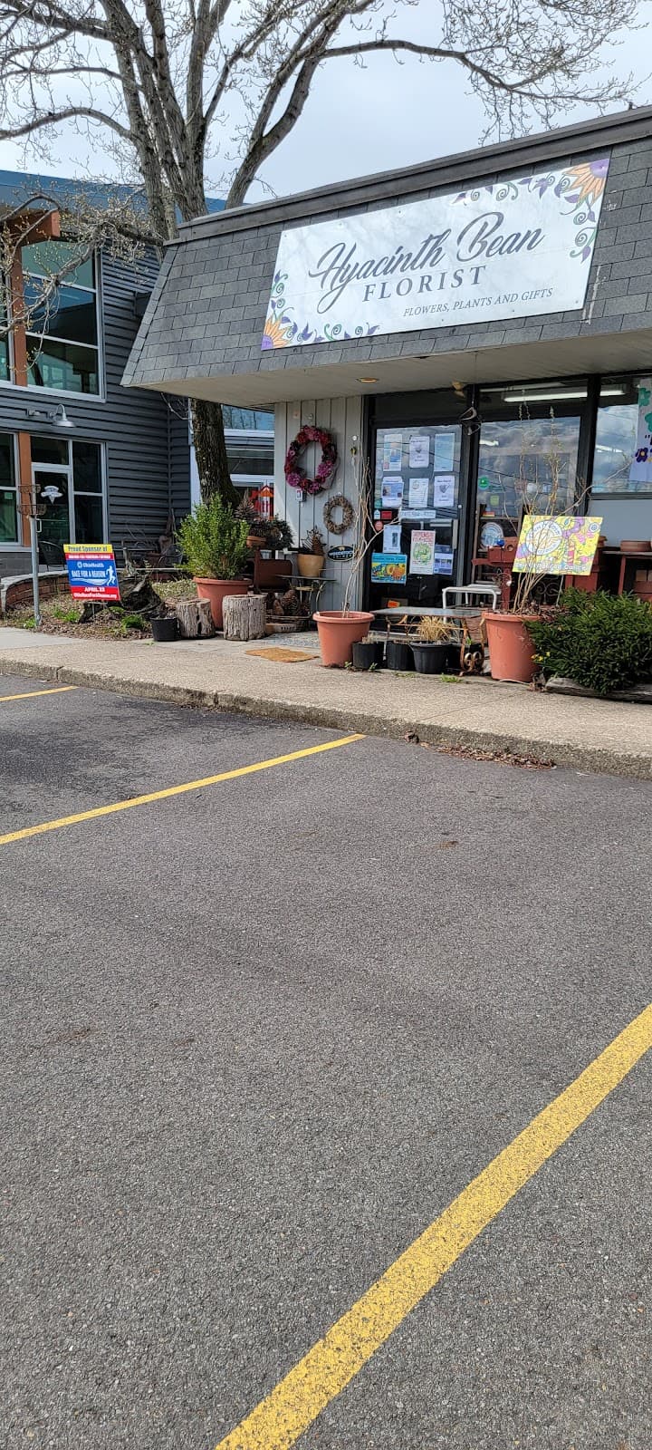 Hyacinth Bean Florist - Image 1