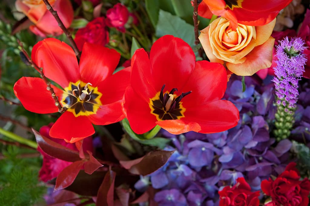 Miami School of Flower Design - Image 1