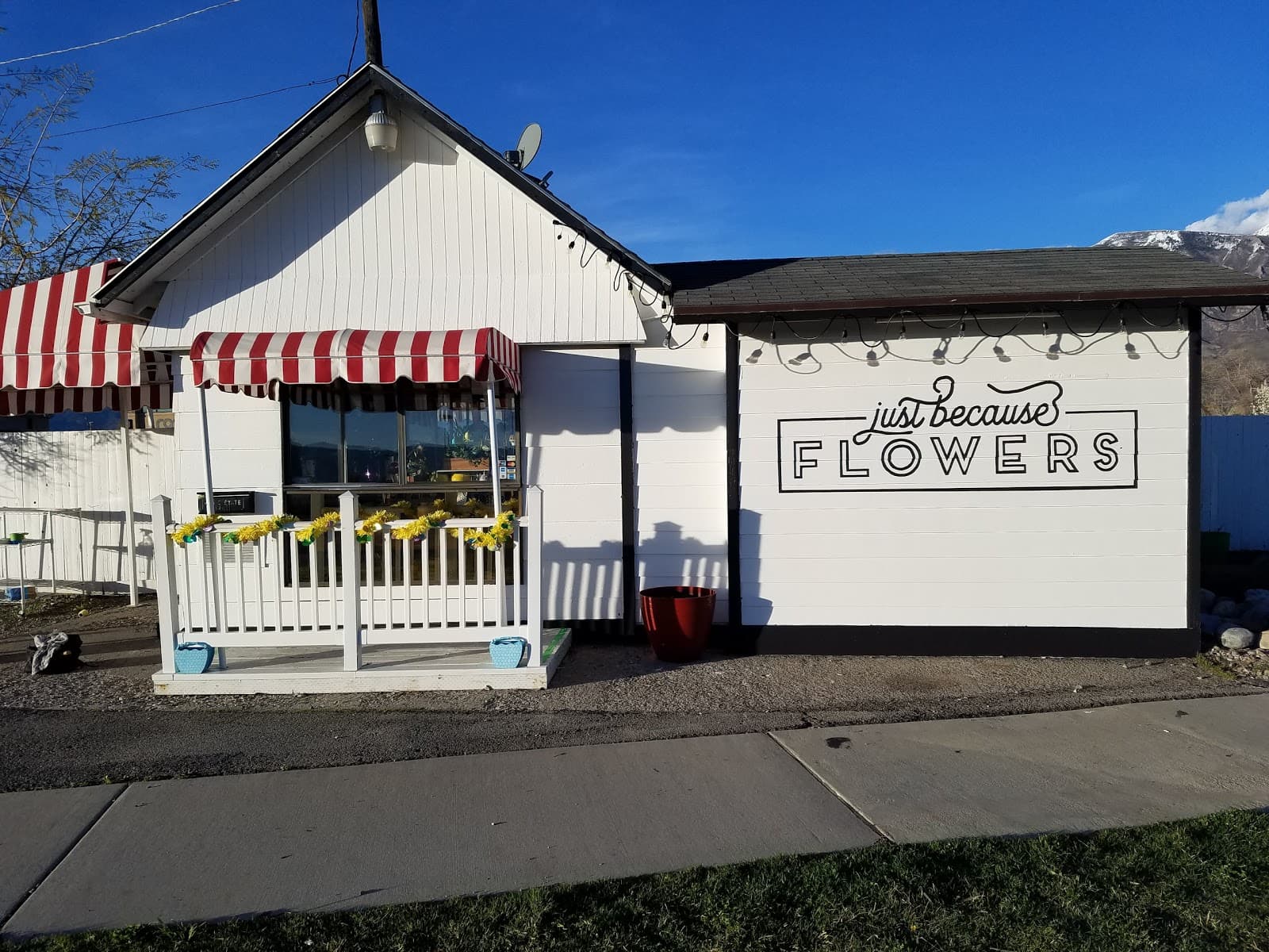 Just Because Flowers & Gifts - Image 1