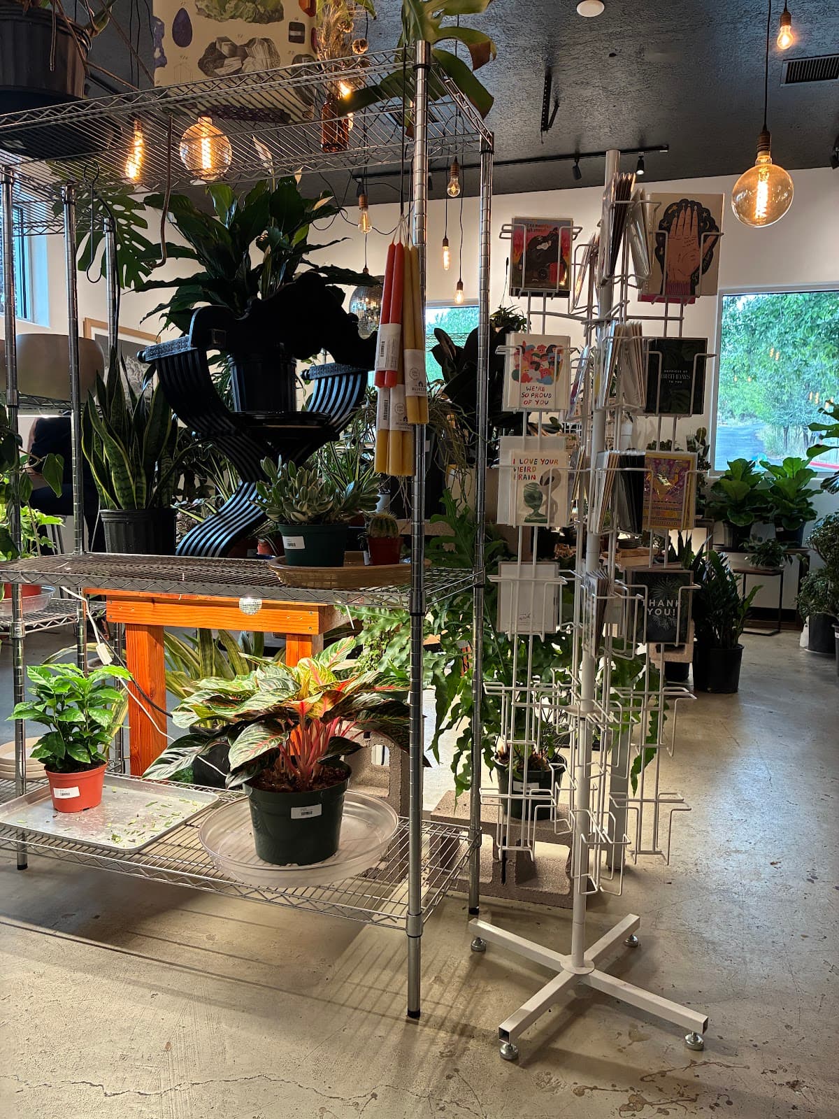 Still Life Coffee & Botanicals - Image 1