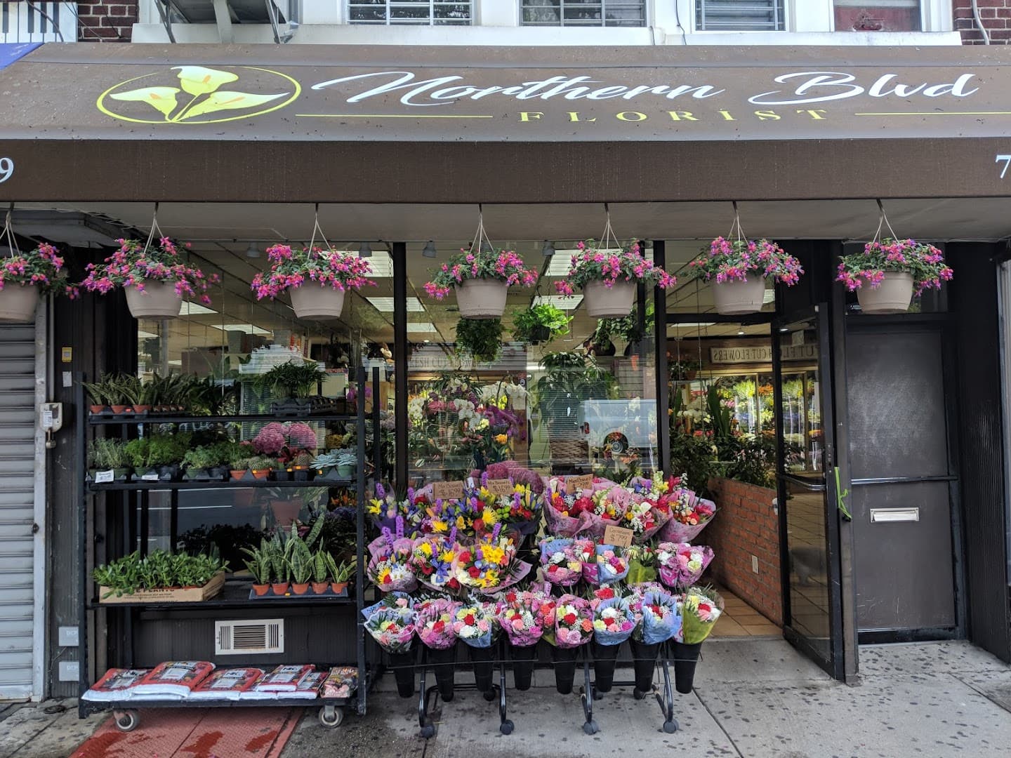 Northern Blvd Florist - Image 1