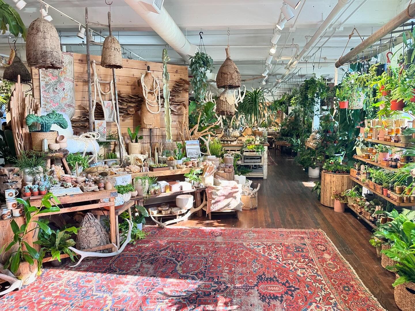 Seed To Stem - Image 1