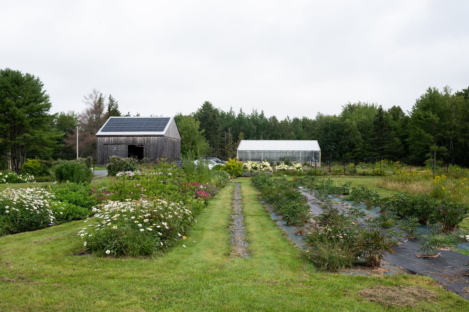 Salt Farm Flowers - Image 1