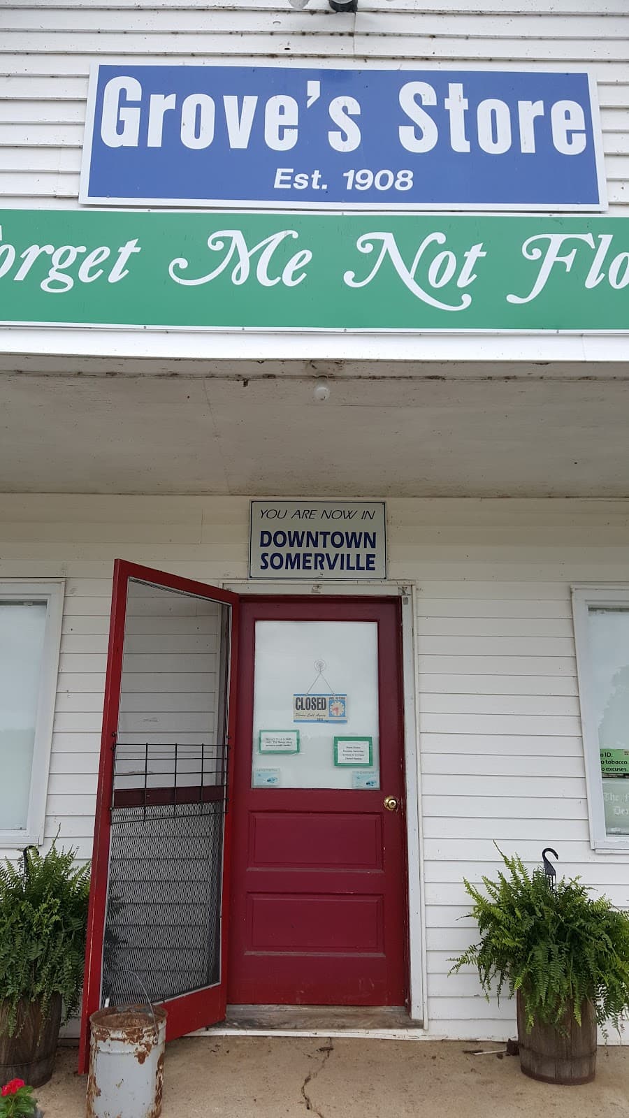 Forget Me Not Flowers LLC - Image 1