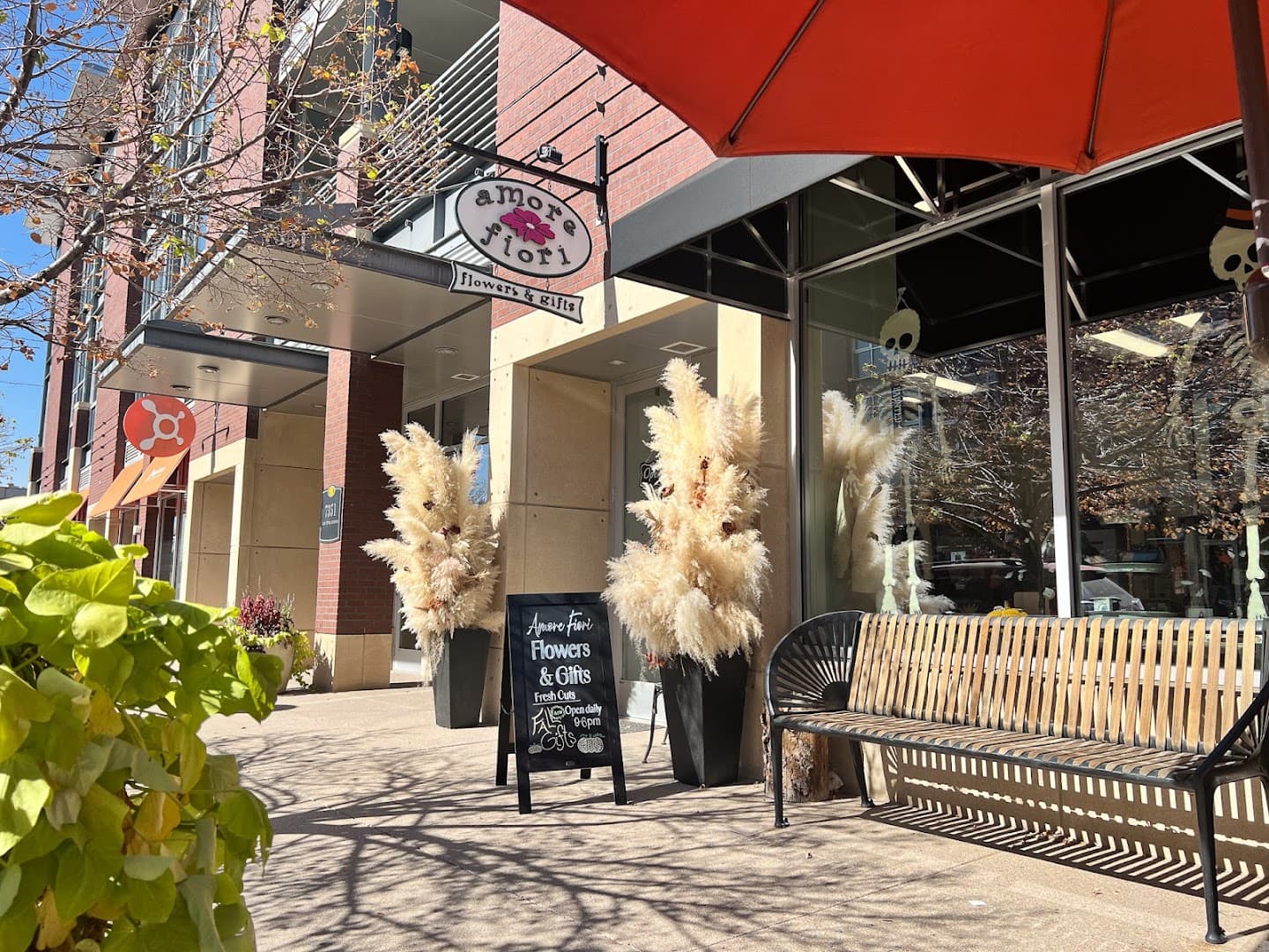 Amore Fiori Flowers and Gifts - Image 1