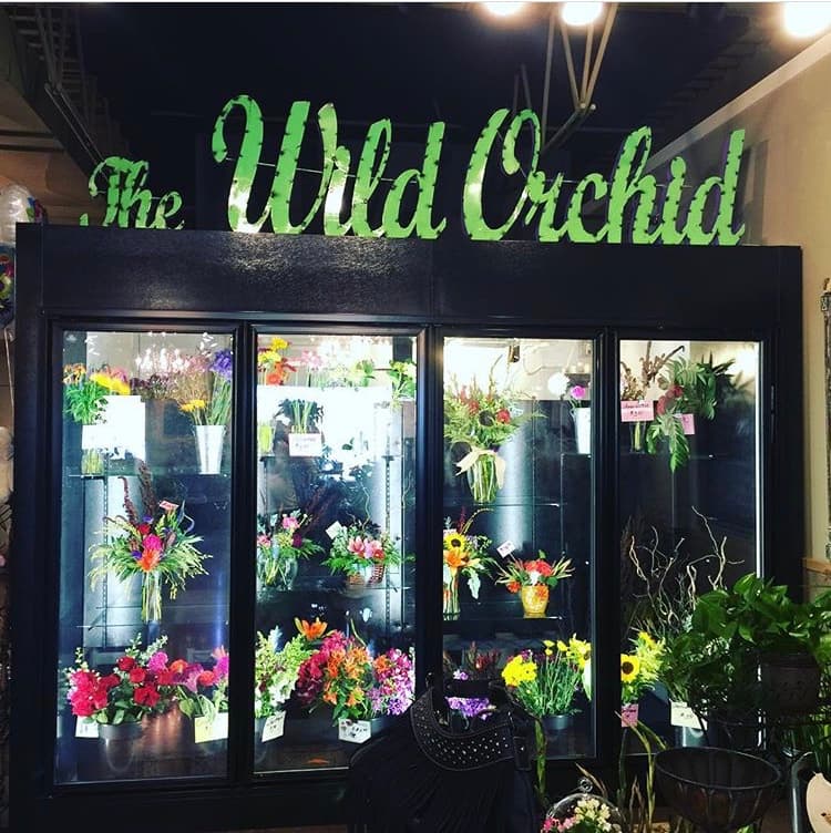 The Wild Orchid - Image 1