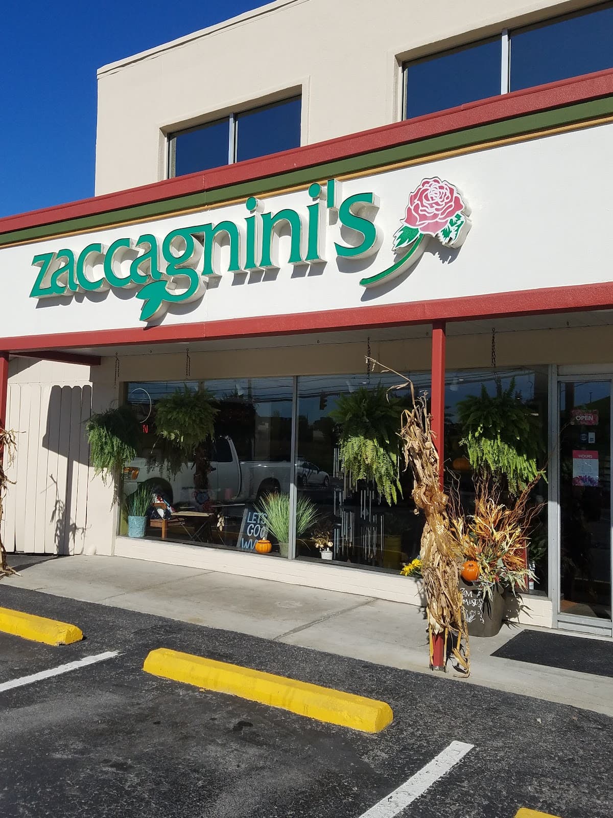 Zaccagnini Morgantown Florist - Image 1