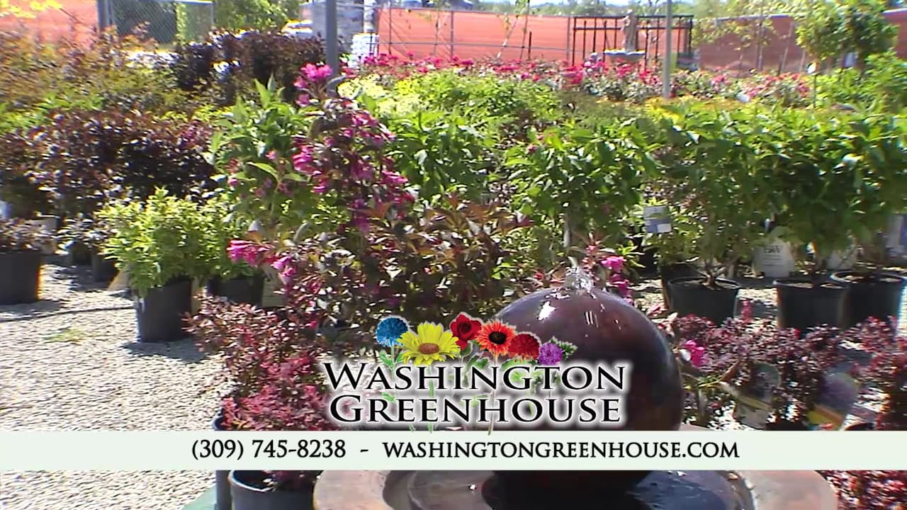 Washington Greenhouse - Image 1