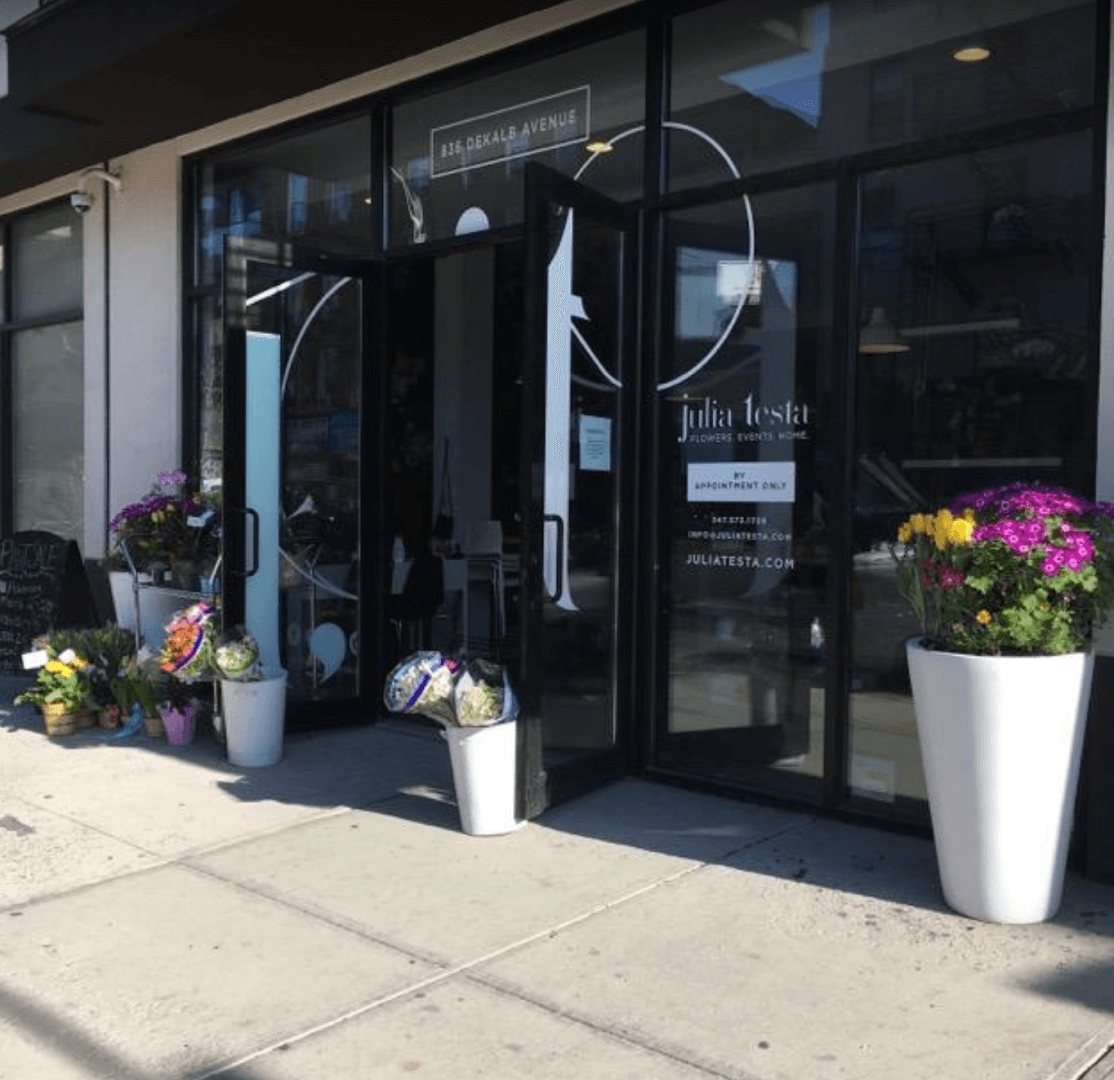 Julia Testa - Image 1