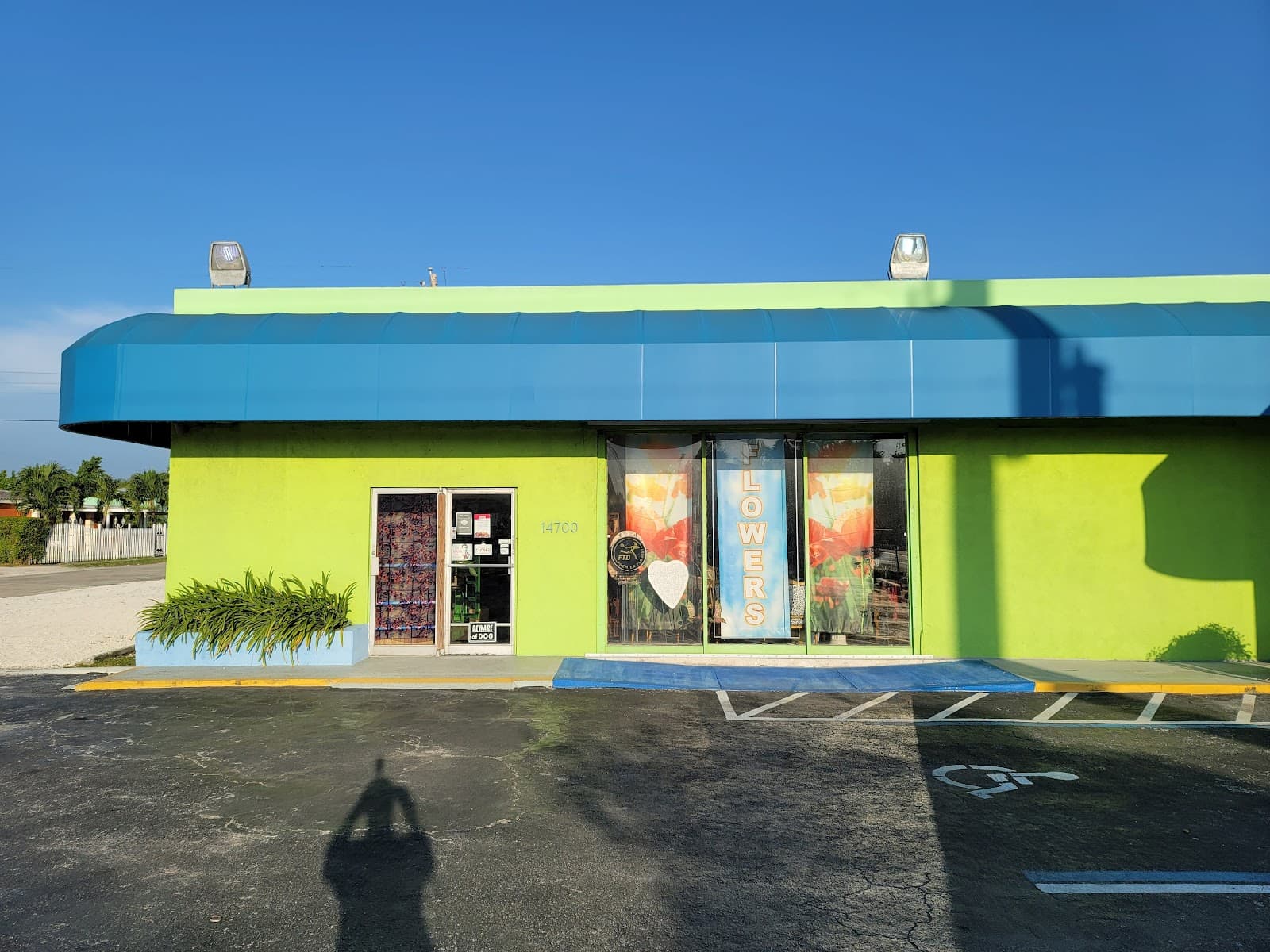 Dolly's Florist - Image 1
