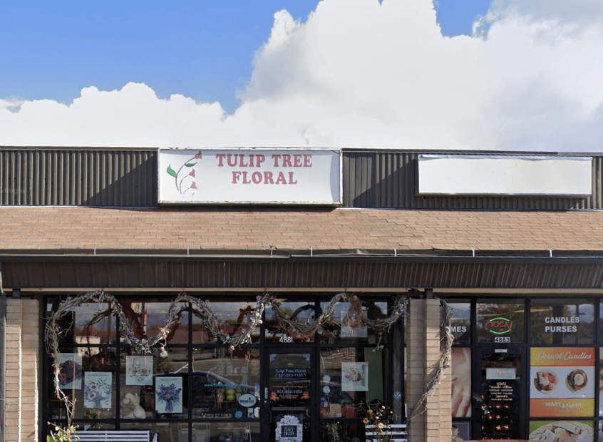 Tulip Tree Floral - Image 1