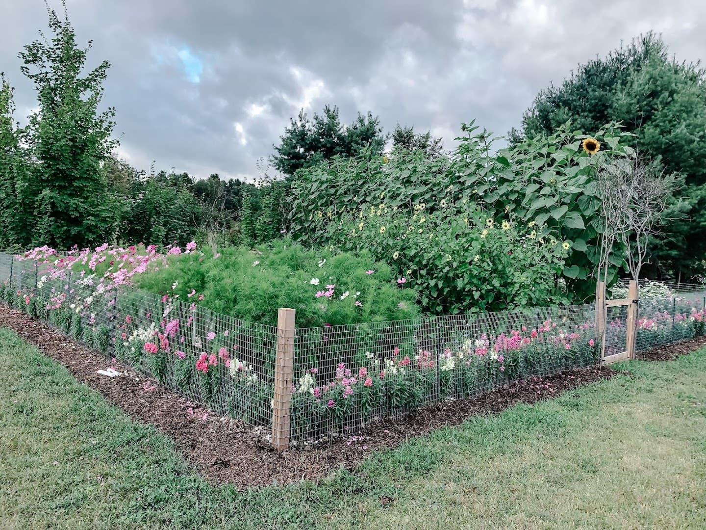 Bay Meadow Farms - Image 1