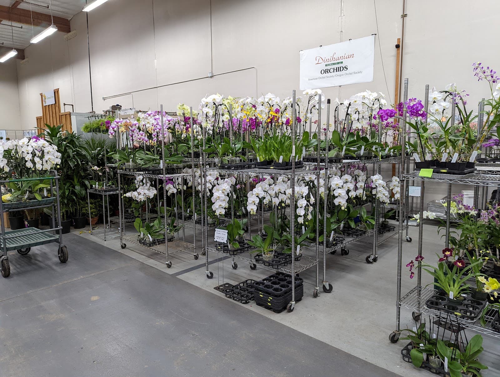 Portland Flower Market - Image 1